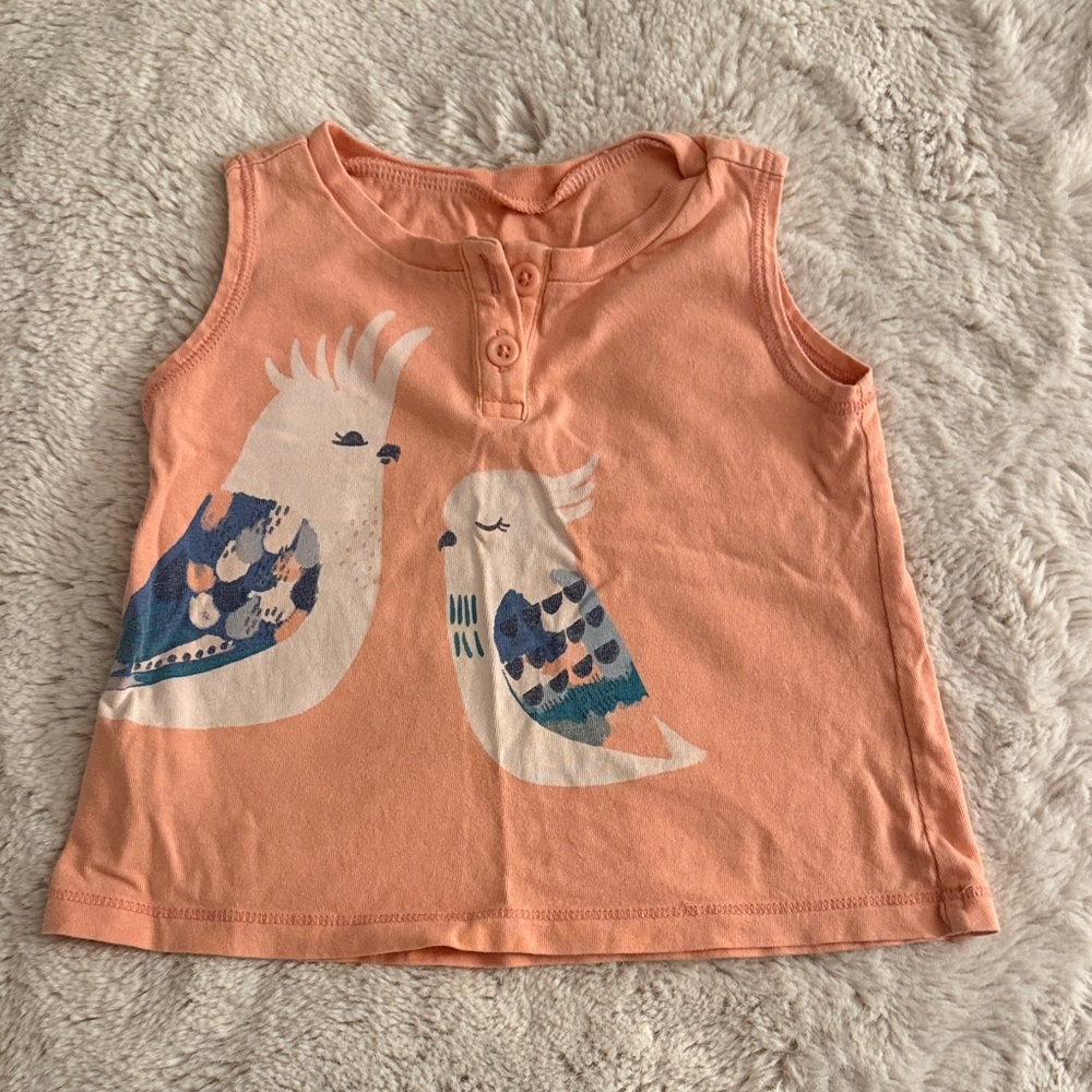 Tea collection toddler Parakeet Swing Tank